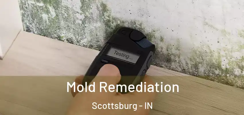  Mold Remediation Scottsburg - IN