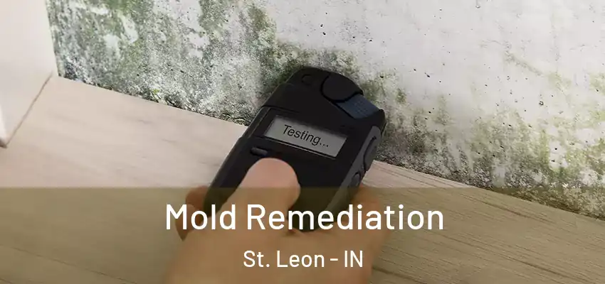  Mold Remediation St. Leon - IN