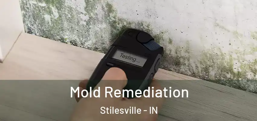  Mold Remediation Stilesville - IN