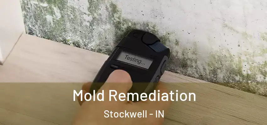 Mold Remediation Stockwell - IN