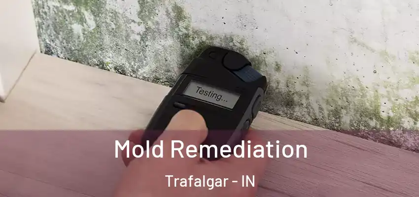  Mold Remediation Trafalgar - IN