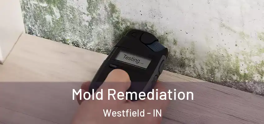  Mold Remediation Westfield - IN