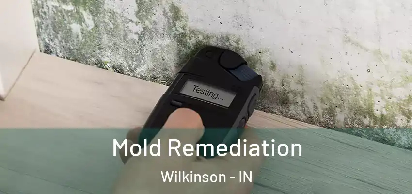  Mold Remediation Wilkinson - IN