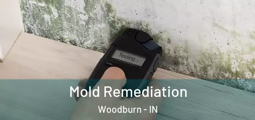  Mold Remediation Woodburn - IN