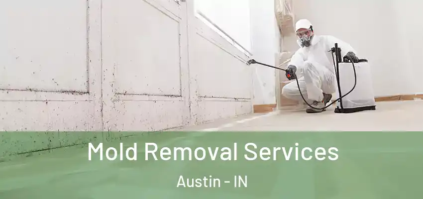 Mold Removal Services Austin - IN