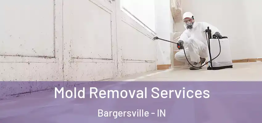  Mold Removal Services Bargersville - IN