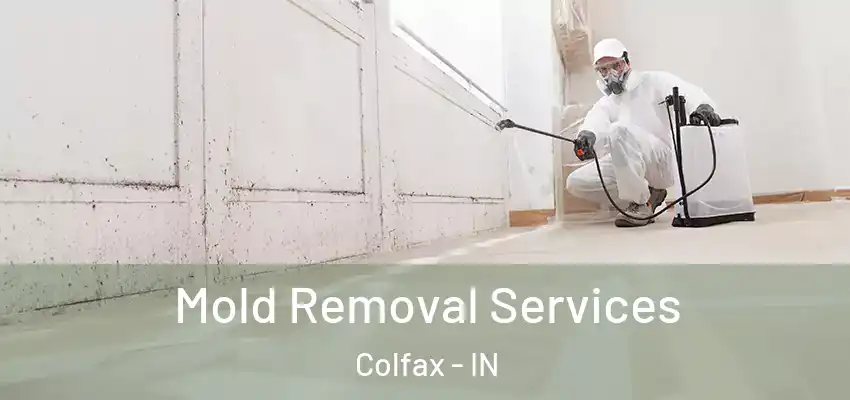 Mold Removal Services Colfax - IN