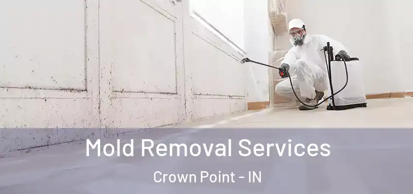  Mold Removal Services Crown Point - IN
