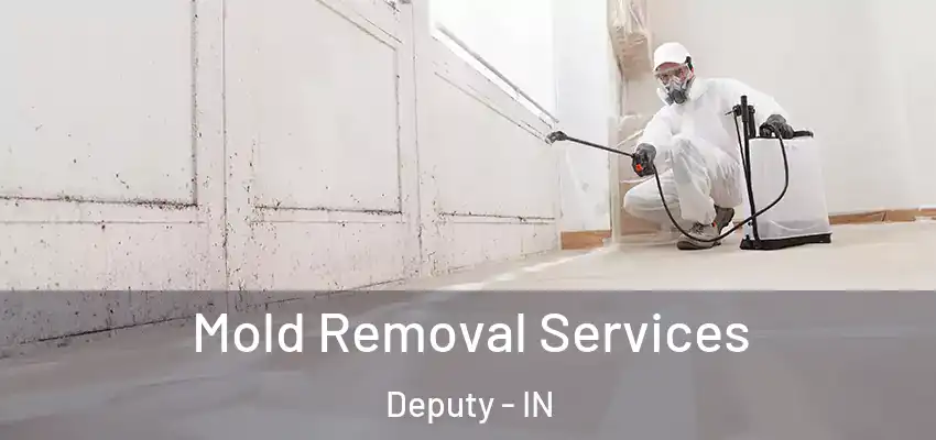  Mold Removal Services Deputy - IN