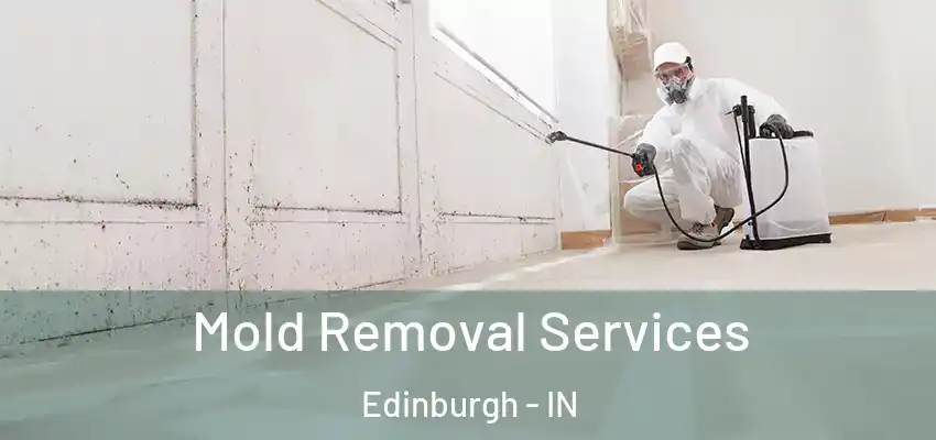  Mold Removal Services Edinburgh - IN