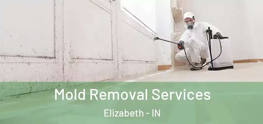  Mold Removal Services Elizabeth - IN