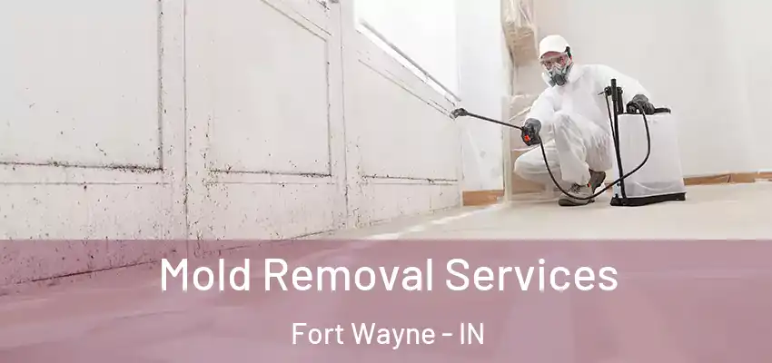  Mold Removal Services Fort Wayne - IN
