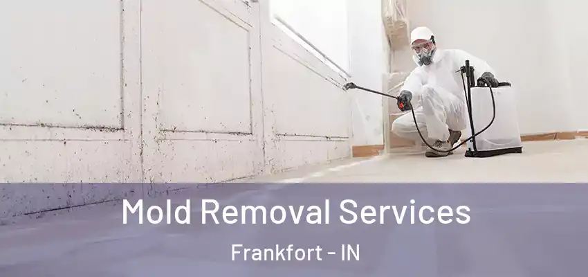  Mold Removal Services Frankfort - IN