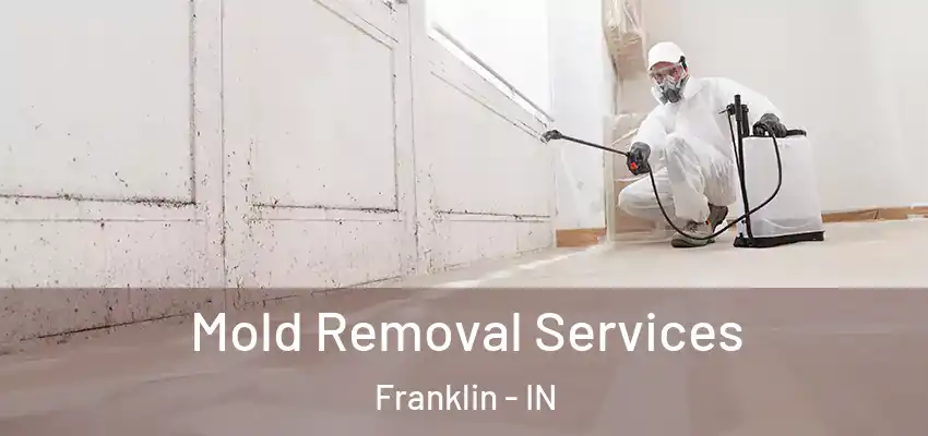  Mold Removal Services Franklin - IN