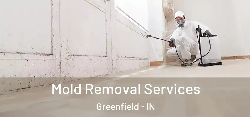  Mold Removal Services Greenfield - IN
