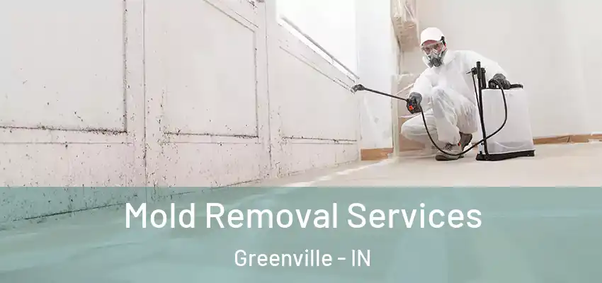  Mold Removal Services Greenville - IN