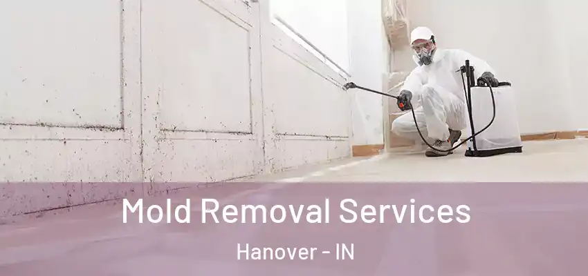 Mold Removal Services Hanover - IN