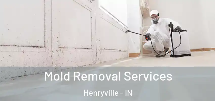  Mold Removal Services Henryville - IN
