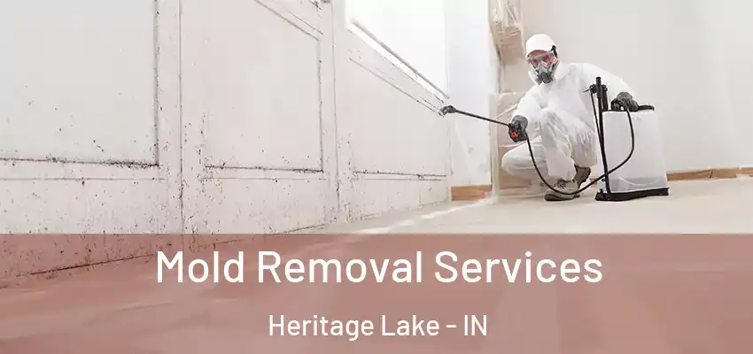  Mold Removal Services Heritage Lake - IN