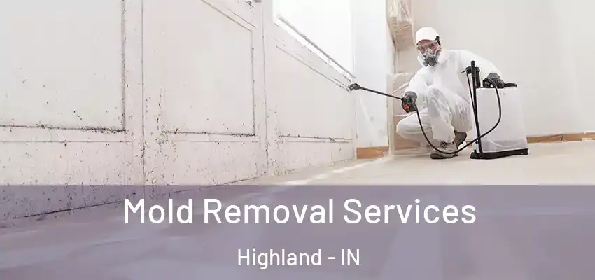  Mold Removal Services Highland - IN