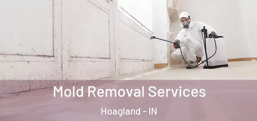  Mold Removal Services Hoagland - IN