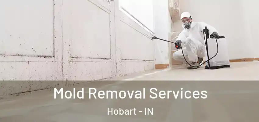  Mold Removal Services Hobart - IN