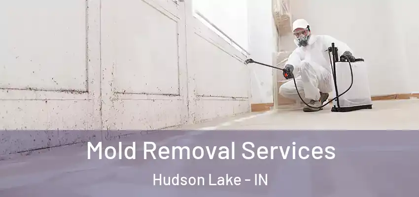  Mold Removal Services Hudson Lake - IN