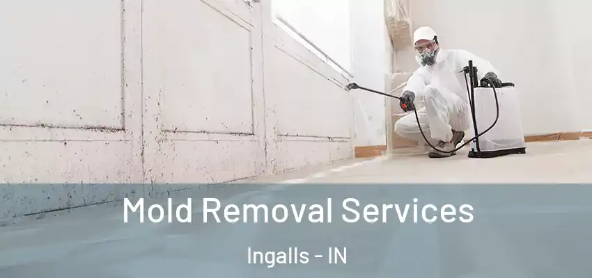  Mold Removal Services Ingalls - IN