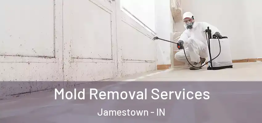  Mold Removal Services Jamestown - IN