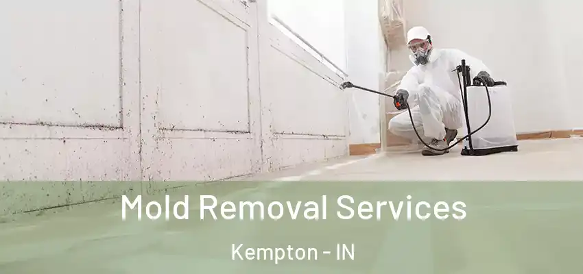 Mold Removal Services Kempton - IN