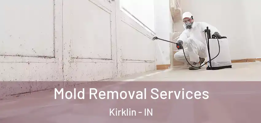 Mold Removal Services Kirklin - IN