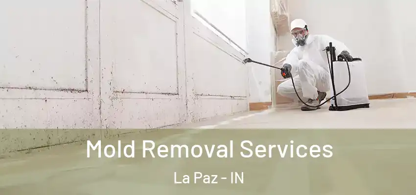  Mold Removal Services La Paz - IN
