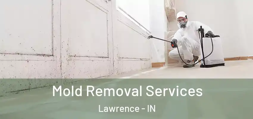  Mold Removal Services Lawrence - IN