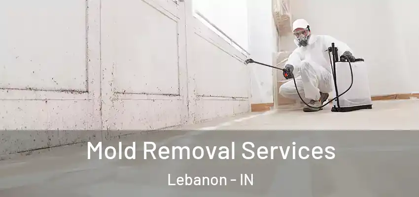  Mold Removal Services Lebanon - IN