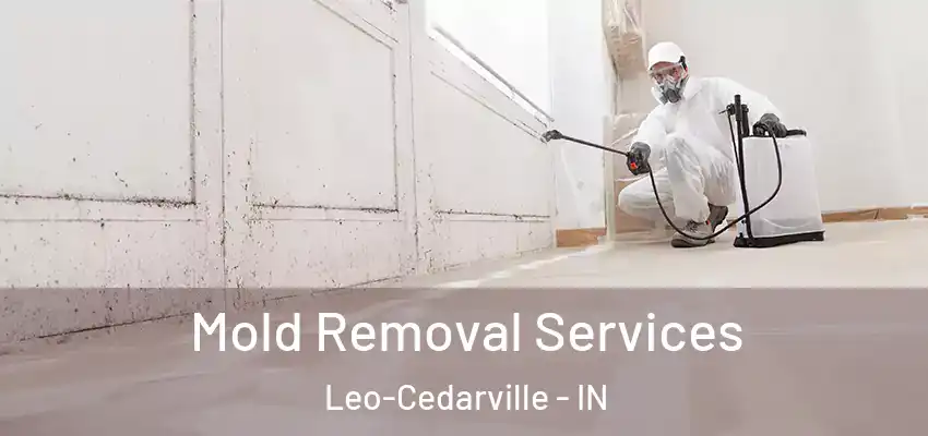  Mold Removal Services Leo-Cedarville - IN