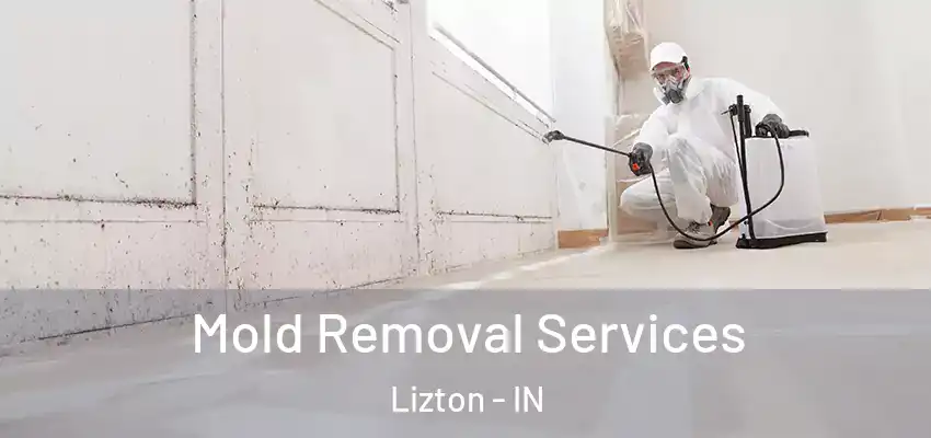  Mold Removal Services Lizton - IN