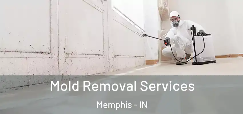  Mold Removal Services Memphis - IN