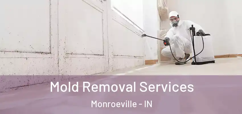  Mold Removal Services Monroeville - IN