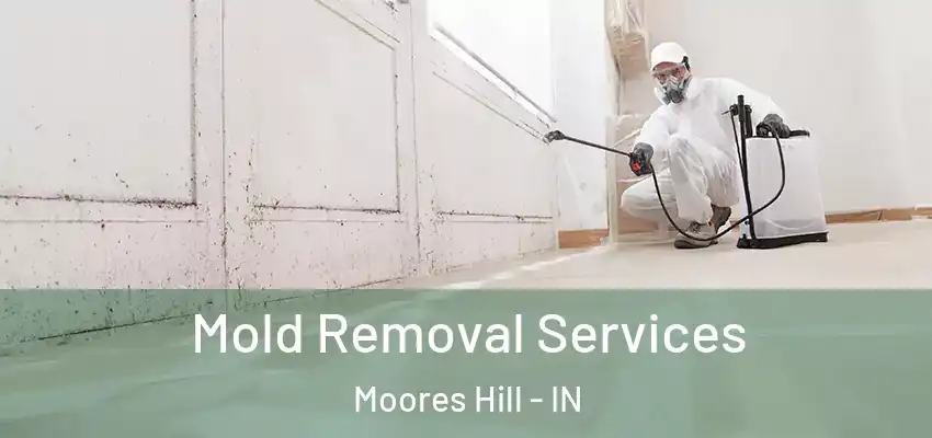  Mold Removal Services Moores Hill - IN