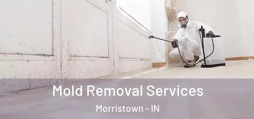  Mold Removal Services Morristown - IN