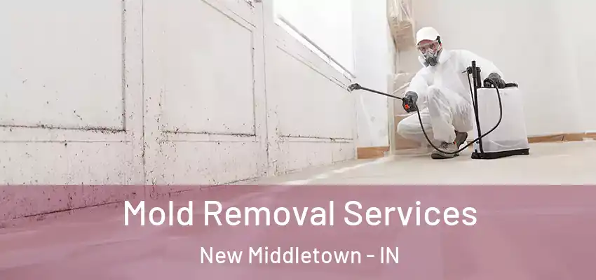  Mold Removal Services New Middletown - IN