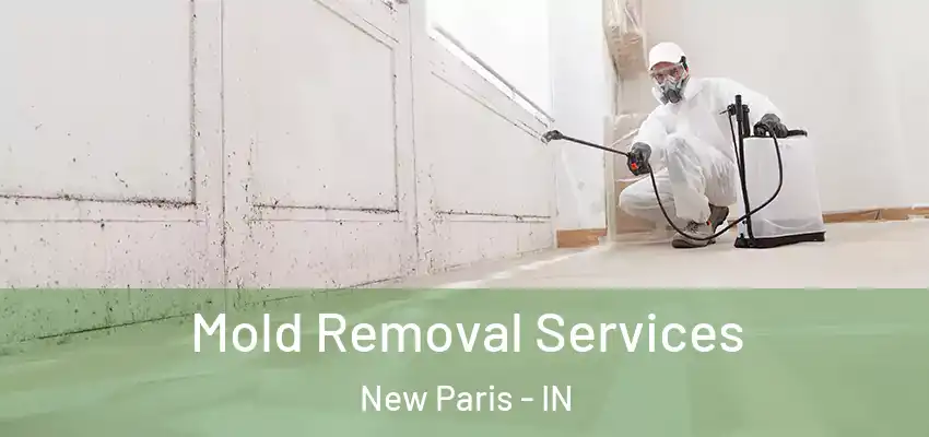  Mold Removal Services New Paris - IN