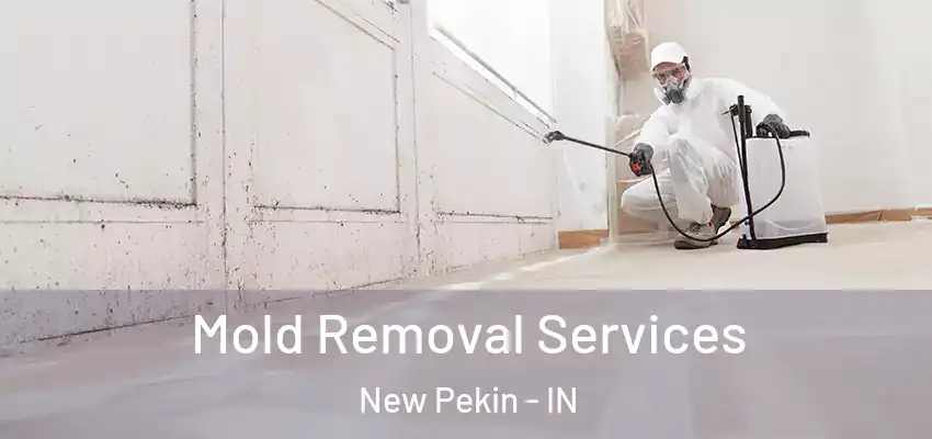  Mold Removal Services New Pekin - IN