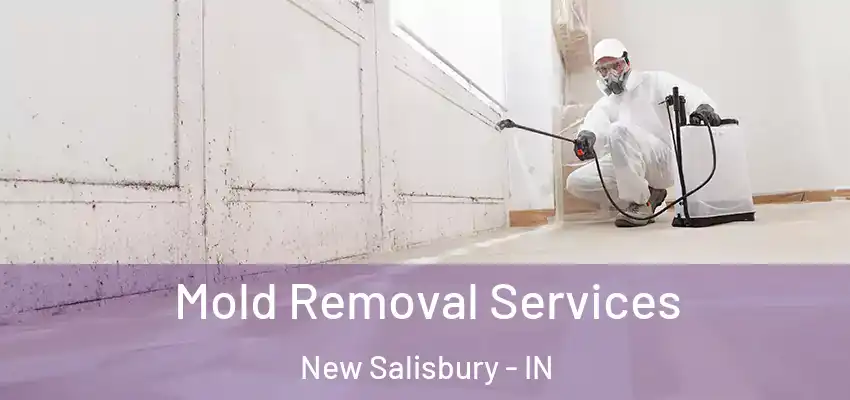  Mold Removal Services New Salisbury - IN