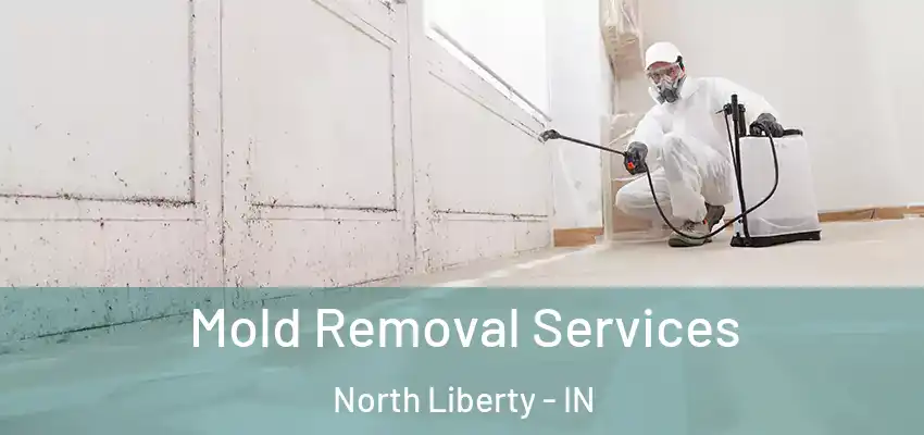  Mold Removal Services North Liberty - IN