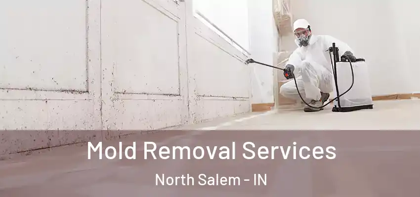  Mold Removal Services North Salem - IN