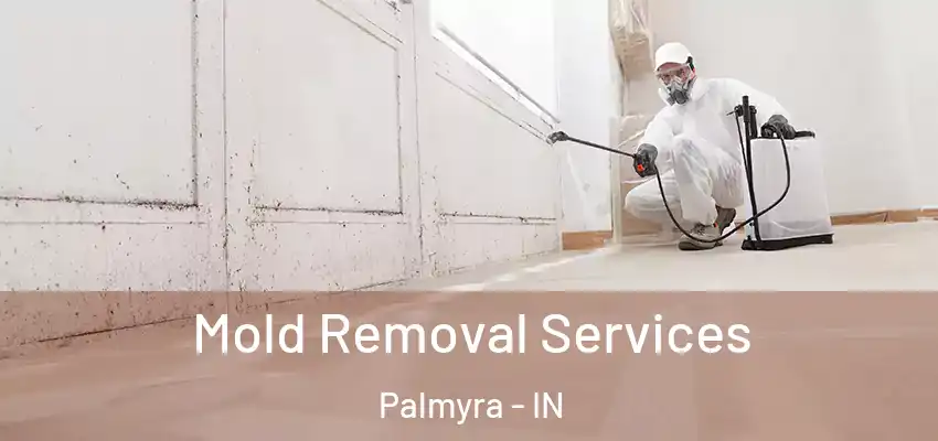  Mold Removal Services Palmyra - IN