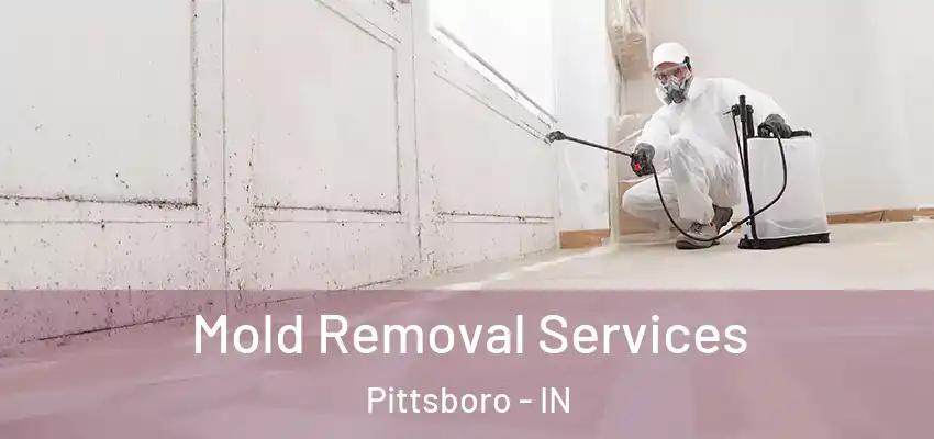  Mold Removal Services Pittsboro - IN