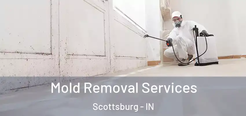  Mold Removal Services Scottsburg - IN