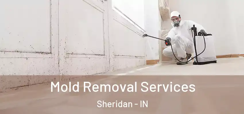 Mold Removal Services Sheridan - IN